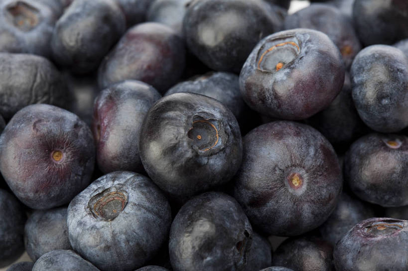 横图,彩色,室内,特写,抠图,白色背景,蓝莓,水果,中国,亚洲,一堆,完整,新鲜,光泽,图片,美味,食品,暗红,营养,食物,紫色,多个,摄影,深色,无公害,东亚,健康食品,影棚拍摄,bj174