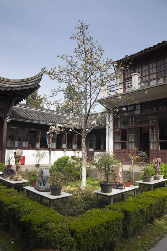 竖图,彩色,室外,白天,旅游,度假,名胜古迹,标志建筑,地标,建筑,南京,中国,遗迹,图片,墙,庭院,建筑群,院子,古典,古迹,文物,娱乐,建设,古建筑,江苏,石雕,历史建筑,墙壁,墙面,树木,天空,地标建筑,享受,休闲,旅游胜地,安静,放松,摄影,四合院,文明,中国文化,古文明,总统府,旅行,传统文化,bj174