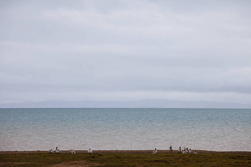 无人,横图,彩色,室外,白天,旅游,度假,湖,美景,名胜古迹,标志建筑,地标,建筑,鸟,中国,亚洲,许多,遗迹,鸟类,图片,很多,古迹,文物,娱乐,建设,古建筑,蓝色,白云,风景,蓝天,天空,自然,动物,享受,休闲,旅游胜地,放松,摄影,地理,风光,宁静,自然风光,古文明,东亚,青海,玛多,bj174