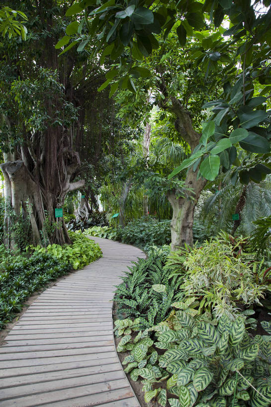 无人,公园,竖图,彩色,室外,白天,旅游,植物,建筑,北京,中国,亚洲,图片,景观,园艺,小路,首都,古典,外观,树木,摄影,古代建筑,木板路,园林,东亚,中华人民共和国,北京市,京,北平,华北地区,丰台区,旅行,世界花卉大观园,北京世界花卉大观园,bj174