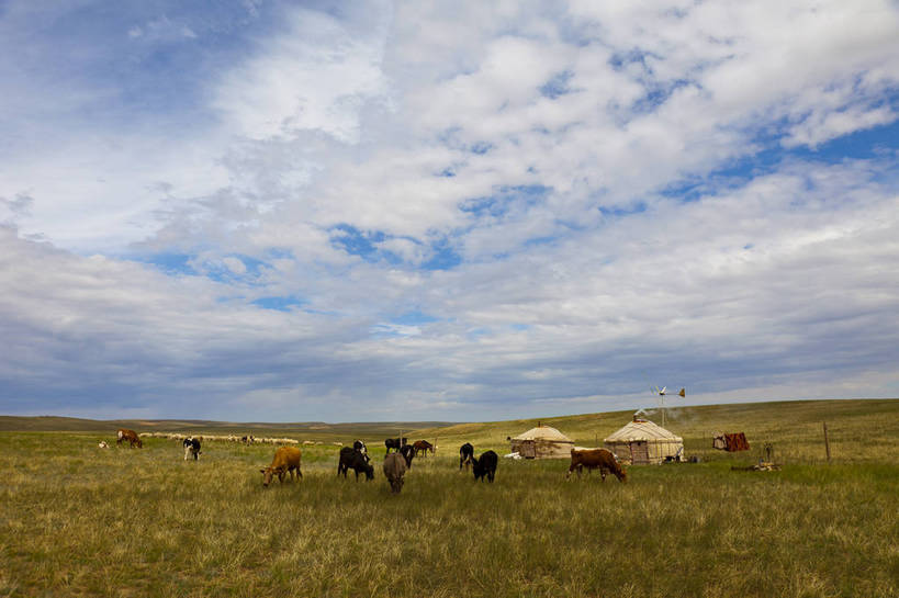 无人,横图,彩色,室外,白天,旅游,度假,草地,草原,名胜古迹,田园,标志建筑,地标,建筑,马,中国,亚洲,遗迹,图片,田野,古迹,文物,娱乐,马群,建设,古建筑,白云,蓝天,自然,平原,享受,休闲,旅游胜地,放松,蒙,摄影,风光,古文明,东亚,蒙古包,内蒙古,包头,中华人民共和国,华北地区,内蒙古自治区,包头市,牧马,旅行,达尔罕茂明安联合旗,达茂旗,希拉穆仁草原,bj174