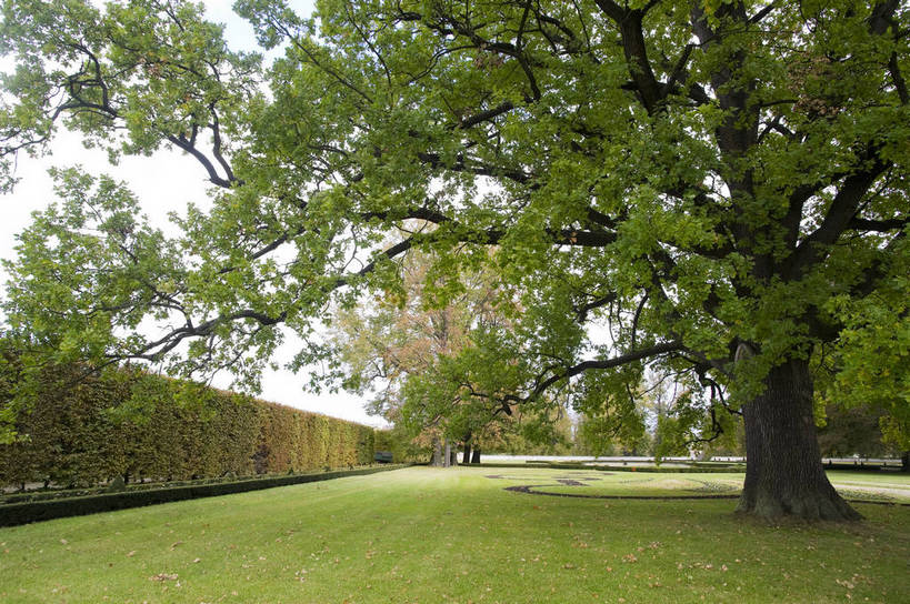 无人,公园,花园,横图,彩色,室外,白天,旅游,度假,草坪,美景,名胜古迹,标志建筑,地标,建筑,欧洲,捷克,遗迹,图片,城堡,古迹,文物,娱乐,建设,古建筑,树,古树,自然,享受,休闲,旅游胜地,放松,摄影,园林,风光,古文明,中欧,捷克共和国,波西米亚,克鲁姆洛夫,旅行,bj174