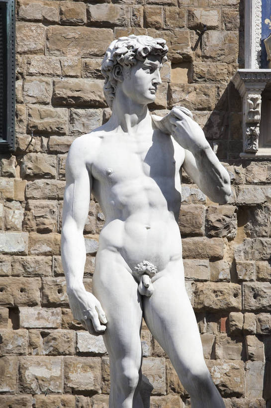 竖图,彩色,室外,特写,白天,旅游,度假,名胜古迹,标志建筑,地标,建筑,雕塑,意大利,佛罗伦萨,欧洲,遗迹,雕像,图片,墙,建筑群,古典,古迹,文物,娱乐,建设,古建筑,地标建筑,享受,休闲,旅游胜地,放松,竖,摄影,国王,托斯卡纳,南欧,文明,古文明,世界文化遗产,意大利共和国,首府,大卫,百花之城,翡冷翠,托斯卡纳大区,米开朗基罗广场,米开朗琪罗广场,以色列国王,大卫王,旅行,传统文化,佛罗伦斯,佛罗伦斯省,bj174