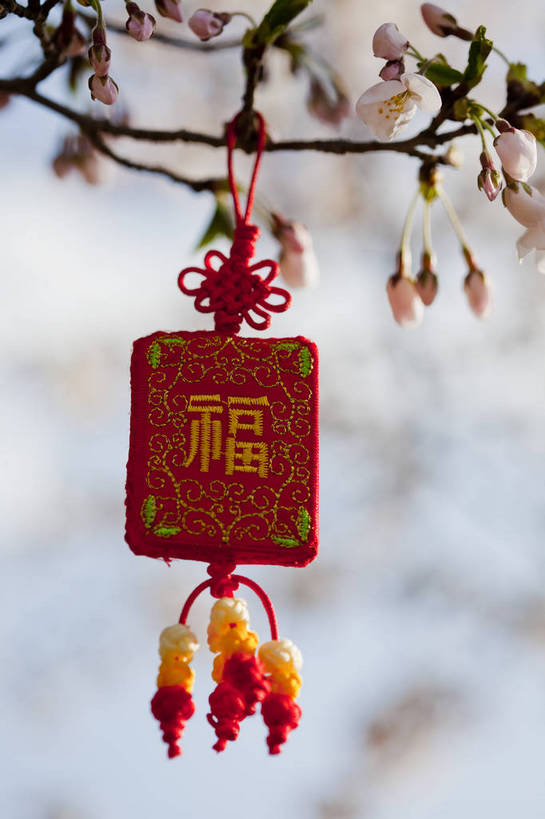 公园,竖图,彩色,室外,特写,白天,背景,旅游,度假,名胜古迹,标志建筑,地标,建筑,刺绣,北京,中国,悬挂,遗迹,图片,古迹,文物,娱乐,建设,古建筑,花卉,自然,福字,中国结,享受,休闲,香包,旅游胜地,放松,竖,摄影,风光,古文明,旅行,玉渊潭公园,bj174