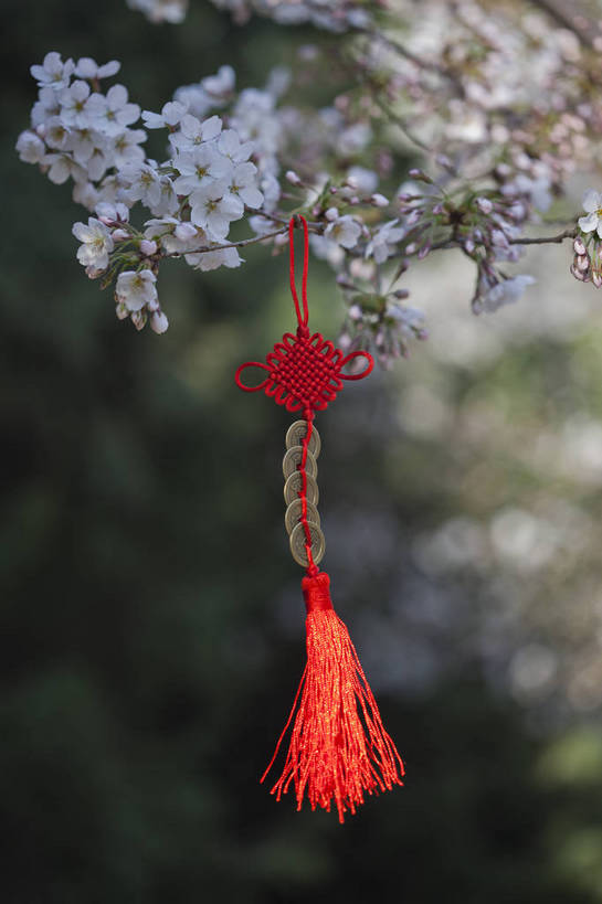 公园,竖图,彩色,室外,特写,白天,背景,旅游,度假,名胜古迹,标志建筑,地标,建筑,刺绣,北京,中国,悬挂,遗迹,图片,古迹,文物,娱乐,建设,古建筑,花卉,自然,福字,中国结,享受,休闲,香包,旅游胜地,放松,竖,摄影,风光,古文明,旅行,玉渊潭公园,bj174