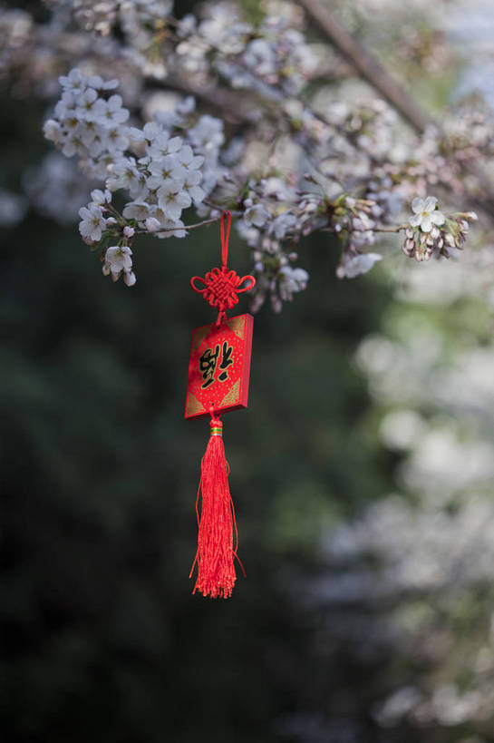 公园,竖图,彩色,室外,特写,白天,背景,旅游,度假,名胜古迹,标志建筑,地标,建筑,刺绣,北京,中国,悬挂,遗迹,图片,古迹,文物,娱乐,建设,古建筑,花卉,自然,福字,中国结,享受,休闲,香包,旅游胜地,放松,竖,摄影,风光,古文明,旅行,玉渊潭公园,bj174