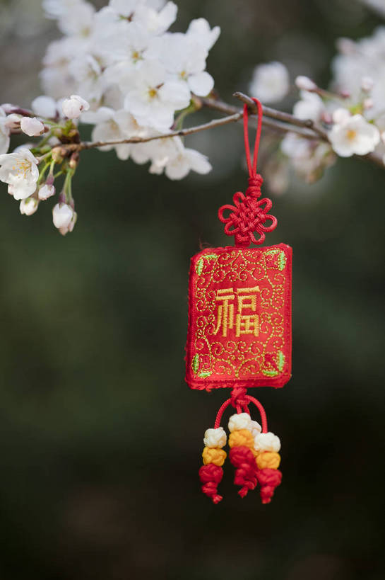 公园,竖图,彩色,室外,特写,白天,背景,旅游,度假,名胜古迹,标志建筑,地标,建筑,刺绣,北京,中国,悬挂,遗迹,图片,古迹,文物,娱乐,建设,古建筑,花卉,自然,福字,中国结,享受,休闲,香包,旅游胜地,放松,竖,摄影,风光,古文明,旅行,玉渊潭公园,bj174