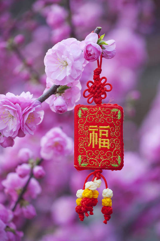 公园,竖图,彩色,室外,特写,白天,背景,旅游,度假,名胜古迹,标志建筑,地标,建筑,刺绣,北京,中国,悬挂,遗迹,图片,古迹,文物,娱乐,建设,古建筑,花卉,自然,中国结,享受,休闲,香包,旅游胜地,放松,竖,摄影,风光,古文明,旅行,玉渊潭公园,bj174