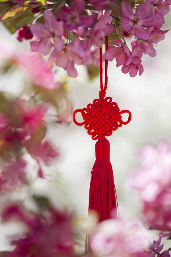 公园,竖图,彩色,室外,特写,白天,背景,旅游,度假,名胜古迹,标志建筑,地标,建筑,海棠花,刺绣,北京,中国,亚洲,悬挂,遗迹,图片,首都,古迹,文物,娱乐,建设,古建筑,花卉,自然,中国结,享受,休闲,旅游胜地,放松,竖,摄影,风光,古文明,东亚,海淀区,中华人民共和国,北京市,京,北平,华北地区,朝阳区,旅行,北京元大都城垣遗址公园,元大都土城遗址,元大都遗址,bj174