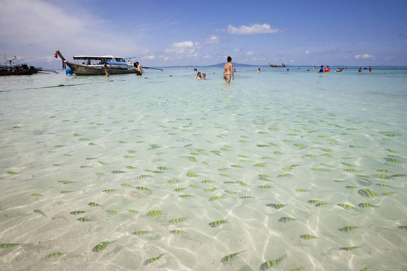 游泳,横图,彩色,室外,特写,白天,旅游,度假,美景,名胜古迹,沙滩,标志建筑,地标,建筑,泰国,亚洲,游客,遗迹,图片,海平面,古迹,文物,娱乐,建设,古建筑,普吉岛,自然,海水,享受,休闲,旅游胜地,放松,摄影,东南亚,海滨,古文明,泰王国,皮皮岛,普吉,披披岛,甲米府,海,海滩,旅行,大皮皮岛,竹子岛,bj174