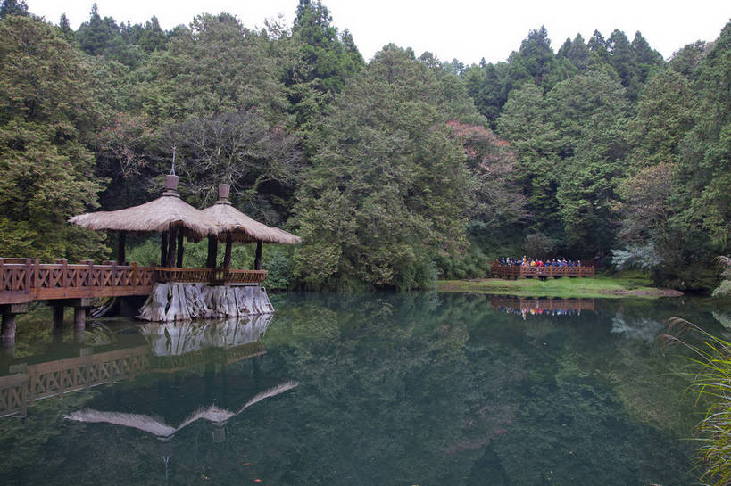 无人,横图,彩色,室外,白天,旅游,度假,湖,美景,森林,台湾,中国,图片,树根,潭,娱乐,自然,凉亭,享受,休闲,旅游胜地,放松,摄影,阿里山,旅行,bj174