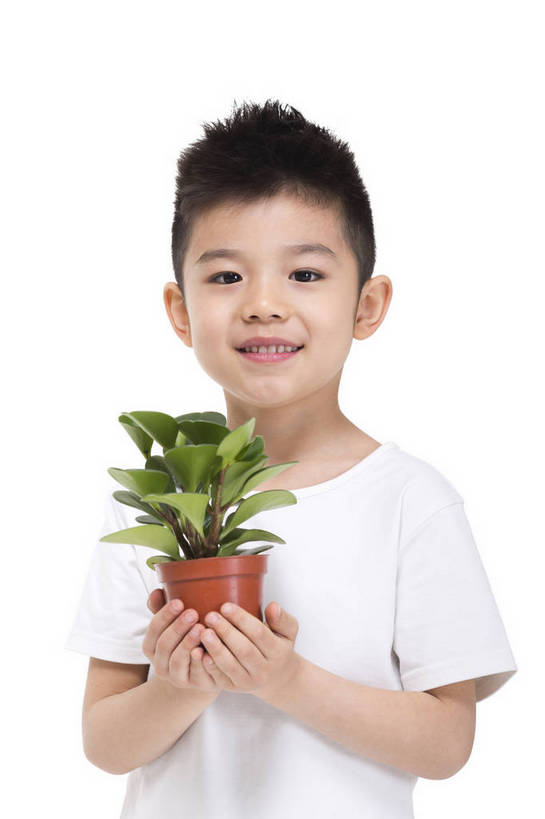 东方人,儿童,站,捧,微笑,竖图,彩色,室内,白天,留白,抠图,白色背景,正面,时尚,快乐,幸福,植物,花盆,北京,中国,仅一个人,服装,环保,图片,小孩,衣服,绿色,白色,站着,健康,放松,可爱,童年,童趣,摄影,服饰,生活方式,成长,希望,好奇,未来,衣着,花草,穿着,宣传,乐观,衣饰,天真,男孩,男人,男性,亚洲人,中国人,孩子,站立,半身,影棚拍摄,愉快,男生,bj174