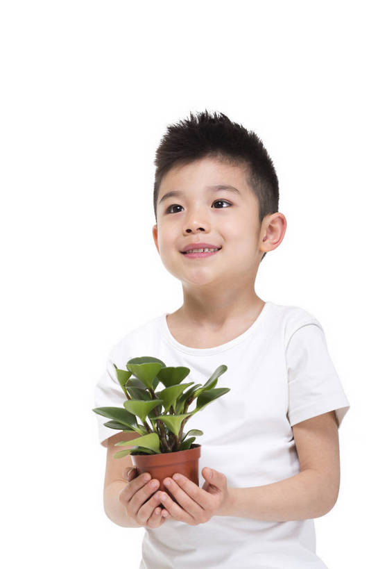 东方人,儿童,站,捧,微笑,竖图,彩色,室内,白天,留白,抠图,白色背景,侧面,时尚,快乐,幸福,植物,花盆,北京,中国,仅一个人,服装,环保,图片,小孩,衣服,绿色,白色,站着,健康,放松,可爱,童年,童趣,摄影,服饰,生活方式,成长,希望,好奇,未来,衣着,花草,穿着,宣传,乐观,衣饰,天真,男孩,男人,男性,亚洲人,中国人,孩子,站立,半身,影棚拍摄,愉快,男生,bj174
