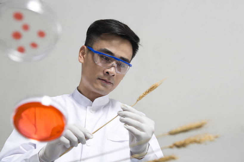 东方人,中年人,药剂师,科学家,横图,彩色,室内,白天,抠图,白色背景,正面,成功,机器,实验,研发,科技,北京,中国,仅一个人,服装,研究,科学,图片,实验室,设备,衣服,白色,健康,机械,器皿,成熟,活力,自信,摄影,服饰,科研,培育,衣着,白大褂,工作装,穿着,化验,检验,实验服,精明,衣饰,化学家,试验,男人,男性,年轻男性,亚洲人,中国人,年轻人,科学工作者,半身,影棚拍摄,愉快,实验衣,bj174