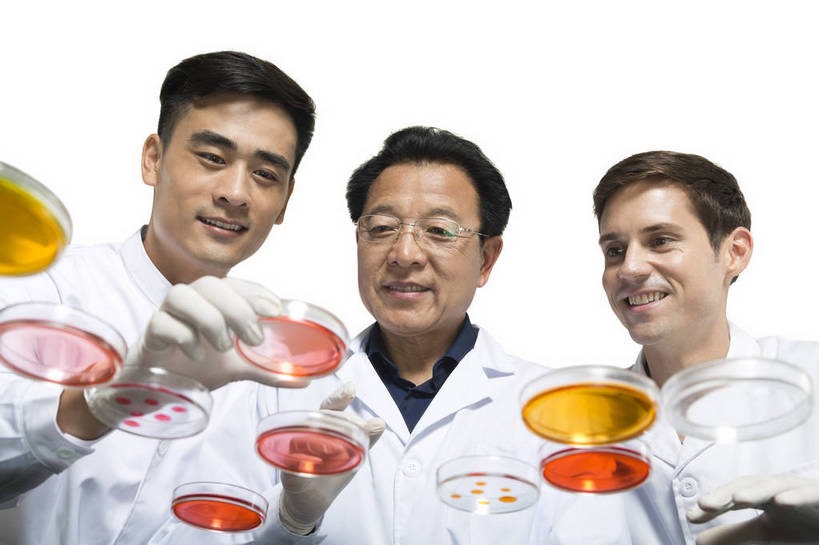 东方人,西方人,中年人,老年人,三个人,伙伴,药剂师,科学家,横图,彩色,室内,白天,抠图,白色背景,正面,友谊,成功,合作,机器,实验,研发,科技,北京,中国,欧洲人,服装,研究,科学,图片,实验室,设备,衣服,白色,健康,机械,成熟,活力,自信,摄影,服饰,科研,培育,衣着,白大褂,工作装,穿着,化验,检验,实验服,精明,衣饰,化学家,研讨,试验,协作,老年男性,男人,男性,年轻男性,中年男性,亚洲人,中国人,年轻人,科学工作者,半身,影棚拍摄,愉快,实验衣,bj174