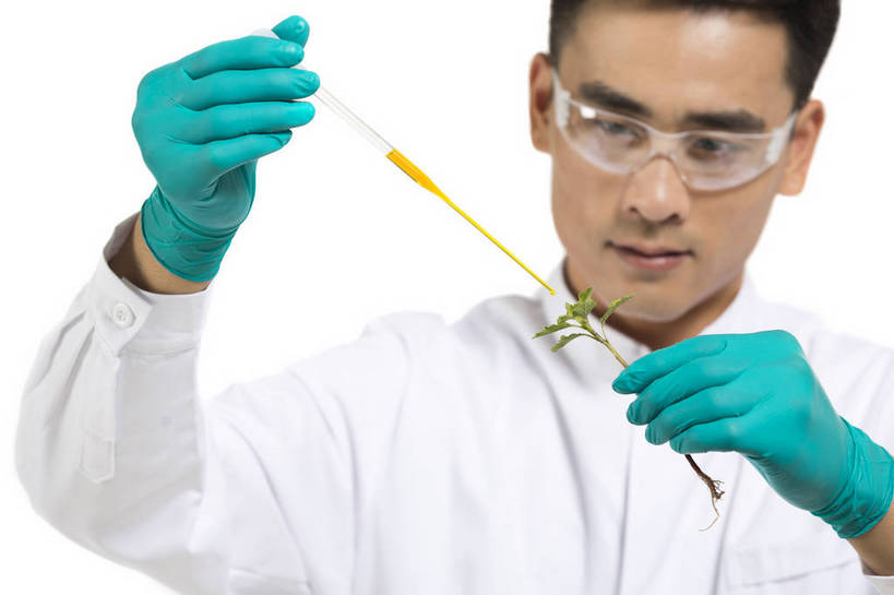 东方人,中年人,药剂师,科学家,横图,彩色,室内,白天,抠图,白色背景,正面,成功,机器,实验,研发,科技,植物,北京,中国,仅一个人,服装,研究,科学,图片,实验室,设备,衣服,白色,健康,机械,成熟,活力,自信,摄影,服饰,科研,培育,衣着,白大褂,工作装,穿着,化验,检验,实验服,精明,衣饰,化学家,试验,男人,男性,年轻男性,亚洲人,中国人,年轻人,科学工作者,半身,影棚拍摄,愉快,实验衣,bj174