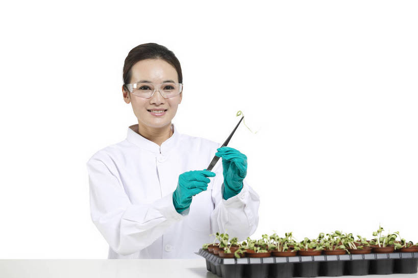 东方人,中年人,药剂师,科学家,横图,彩色,室内,白天,抠图,白色背景,正面,成功,机器,实验,研发,科技,植物,北京,中国,仅一个人,服装,研究,科学,图片,实验室,美丽,设备,衣服,白色,健康,机械,成熟,活力,自信,摄影,服饰,优雅,科研,培育,衣着,白大褂,工作装,穿着,化验,检验,实验服,精明,衣饰,化学家,试验,年轻女性,女人,女性,亚洲人,中国人,年轻人,科学工作者,半身,影棚拍摄,愉快,实验衣,bj174