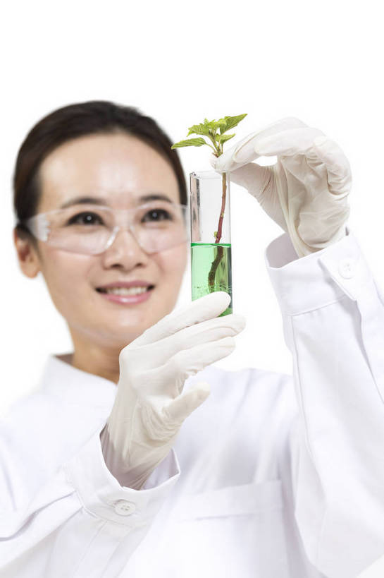 东方人,中年人,药剂师,科学家,竖图,彩色,室内,白天,抠图,白色背景,正面,成功,机器,实验,研发,科技,植物,北京,中国,仅一个人,服装,研究,科学,图片,实验室,美丽,设备,衣服,白色,健康,机械,成熟,活力,自信,摄影,服饰,优雅,科研,培育,衣着,白大褂,工作装,穿着,化验,检验,实验服,精明,衣饰,化学家,试验,年轻女性,女人,女性,亚洲人,中国人,年轻人,科学工作者,半身,影棚拍摄,愉快,实验衣,bj174