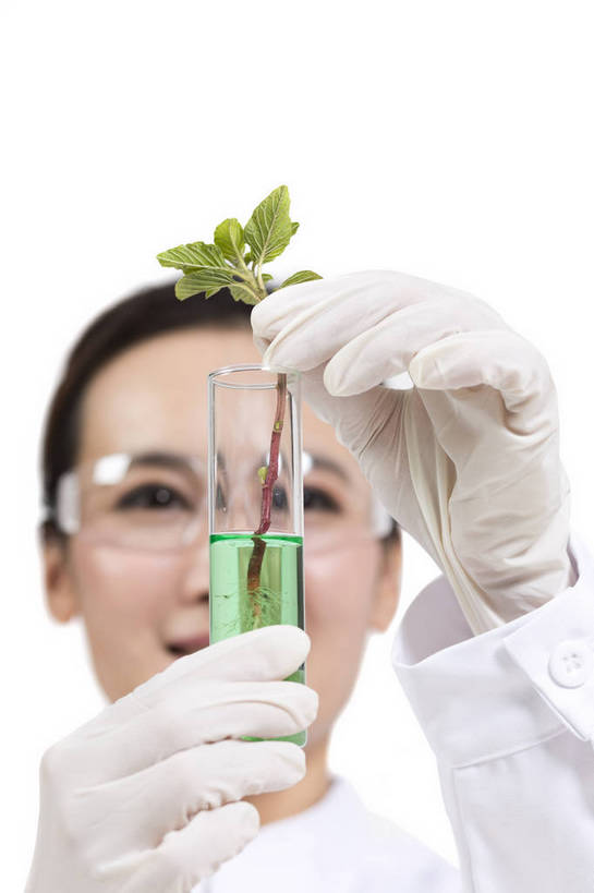 东方人,中年人,药剂师,科学家,竖图,彩色,室内,白天,抠图,白色背景,正面,成功,机器,实验,研发,科技,植物,北京,中国,仅一个人,服装,研究,科学,图片,实验室,美丽,设备,衣服,白色,健康,机械,成熟,活力,自信,摄影,服饰,优雅,科研,培育,衣着,白大褂,工作装,穿着,化验,检验,实验服,精明,衣饰,化学家,试验,年轻女性,女人,女性,亚洲人,中国人,年轻人,科学工作者,半身,影棚拍摄,愉快,实验衣,bj174