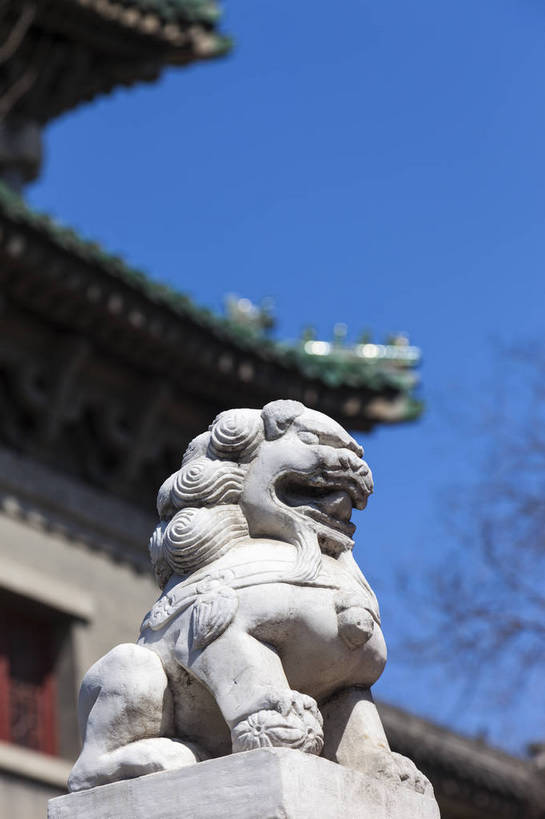 无人,竖图,全景,室外,特写,白天,仰视,旅游,名胜古迹,胡同,建筑,狮子,雕塑,北京,中国,亚洲,古老,壮观,雕刻,房屋,庭院,景点,景观,院子,首都,古典,历史,文化,古建筑,石狮子,石雕,石刻,东方,风景,蓝天,天空,自然,动物,石狮,中式,旅游胜地,景色,摄影,平房,晴天,风光,四合院,都市风光,中国文化,自然风光,外景,东亚,远古,中华人民共和国,北京市,京,北平,华北地区,威严,蕴含,彩图,低角度拍摄,旅行,久远,传统文化,bj174