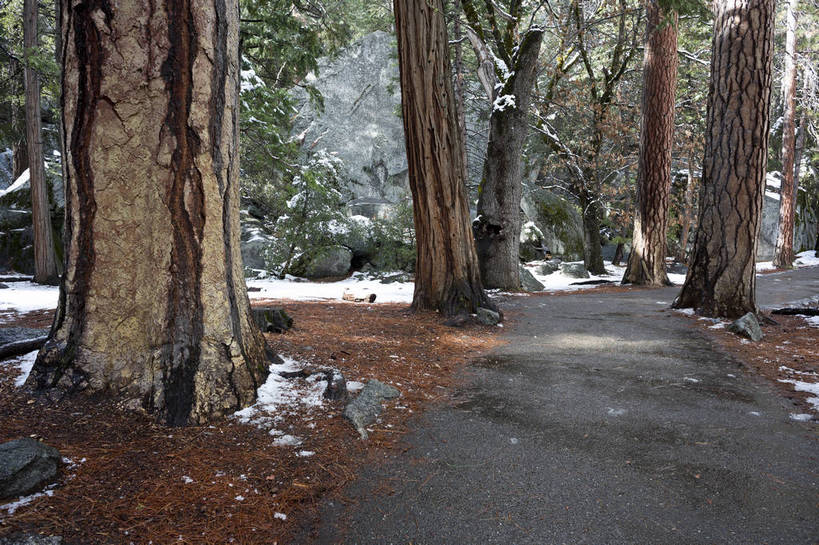 无人,公园,攀登,横图,彩色,室外,白天,旅游,森林,山,山脉,雪,雪山,美国,曲折,弯曲,环绕,地形,积雪,景点,山顶,山谷,云雾,树木,白云,风景,蓝天,天空,自然,景色,摄影,晴天,风光,宁静,北美,北美洲,国家公园,静谧,加利福尼亚,自然风光,约塞米蒂国家公园,美洲,追求,外景,自然现象,梦想,加州,地貌,加利福尼亚州,内华达山脉,优胜美地国家公园,金州,黄金州,北亚美利加洲,亚美利加洲,美国尤塞米提国家公园,优山美地,约瑟米提国家公园,旅行,美利坚合众国,林区,bj174