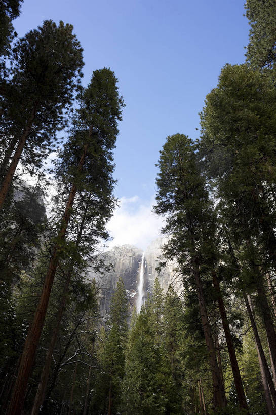 无人,公园,攀登,竖图,彩色,室外,白天,旅游,森林,山,山脉,雪,雪山,美国,曲折,弯曲,环绕,地形,积雪,景点,山顶,山谷,云雾,树木,白云,风景,蓝天,天空,自然,景色,摄影,晴天,风光,宁静,北美,北美洲,国家公园,静谧,加利福尼亚,自然风光,约塞米蒂国家公园,美洲,追求,外景,自然现象,梦想,加州,地貌,加利福尼亚州,内华达山脉,优胜美地国家公园,金州,黄金州,北亚美利加洲,亚美利加洲,美国尤塞米提国家公园,优山美地,约瑟米提国家公园,旅行,美利坚合众国,林区,bj174