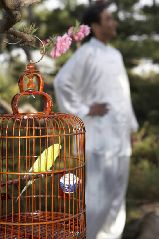 成年人,老年人,一个人,公园,竖图,室外,白天,侧面,满意,友谊,宠物,鸟,鹦鹉,北京,中国,亚洲,吊挂,悬挂,鸟类,丝绸,鸟笼,挂,手叉腰,传统,花,树,一只,衣服,绿色,蓝天,自然,动物,春天,叉腰,站着,休闲,健康,放松,个性,可爱,想,摄影,活泼,生活方式,宁静,协调,退休,享乐,双手叉腰,中国文化,东亚,观赏鸟,爱情鸟,牡丹鹦鹉,情侣鹦鹉,红牡丹鹦鹉,蜡嘴鹦鹉,老年男性,男人,男性,中国人,休闲活动,彩图,传统服装,伴侣,传统文化,人老心不老,缎子,bj175