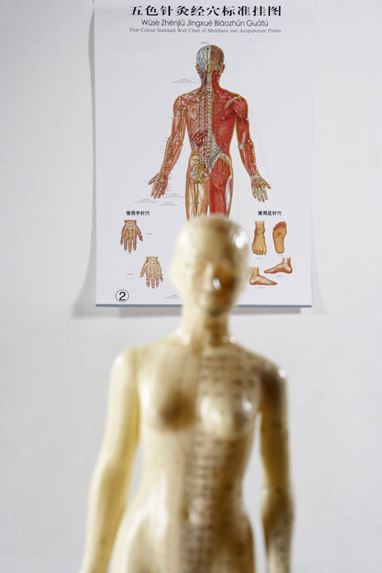 无人,办公室,医院,竖图,室内,技术,静物,雕塑,北京,中国,亚洲,药,艺术,装饰,科学,医学,雕刻,雕像,教育,图像,文化,传统,海报,两个,白色,模型,工艺品,健康,比较,治疗,保健,摄影,纪念,技巧,经络,美术,医疗,疾病,穴位,中国文化,主题,手艺,针灸,调和,陈列,中医,东亚,医治,功能,美学,疏通,技能,技艺,灸法,针法,中医学,彩图,影棚拍摄,描述,妙技,传统文化,本领,门诊部,bj175