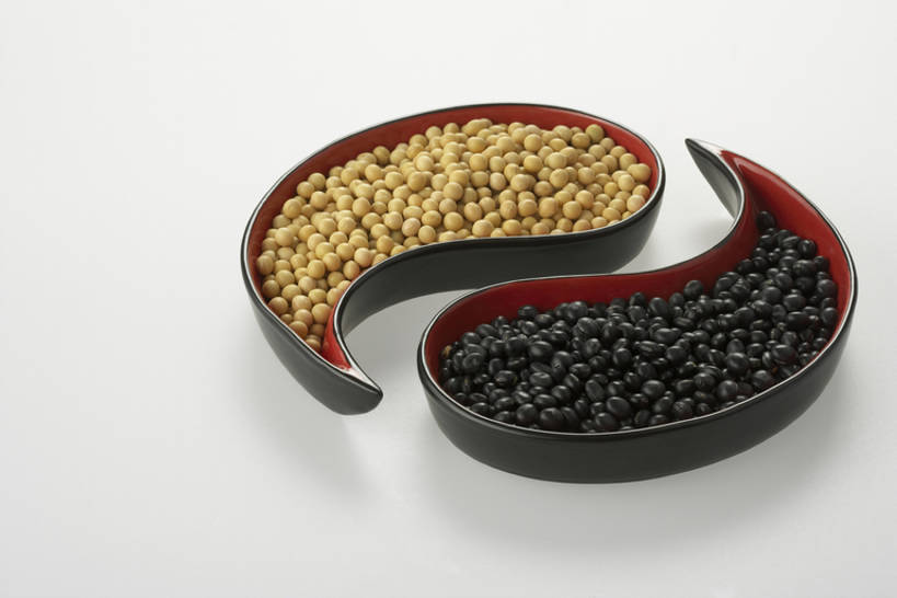 无人,横图,留白,白色背景,豆,大豆,静物,堆叠,对称,分离,标志,符号,黑豆,生食,食品,联系,传统,饮食,两个,黑色,盘子,碗,平衡,摄影,协调,创造力,太极,清新,中国文化,反差,健康食物,豆科植物,式样,想法,团结,彩图,高角度拍摄,影棚拍摄,bj175