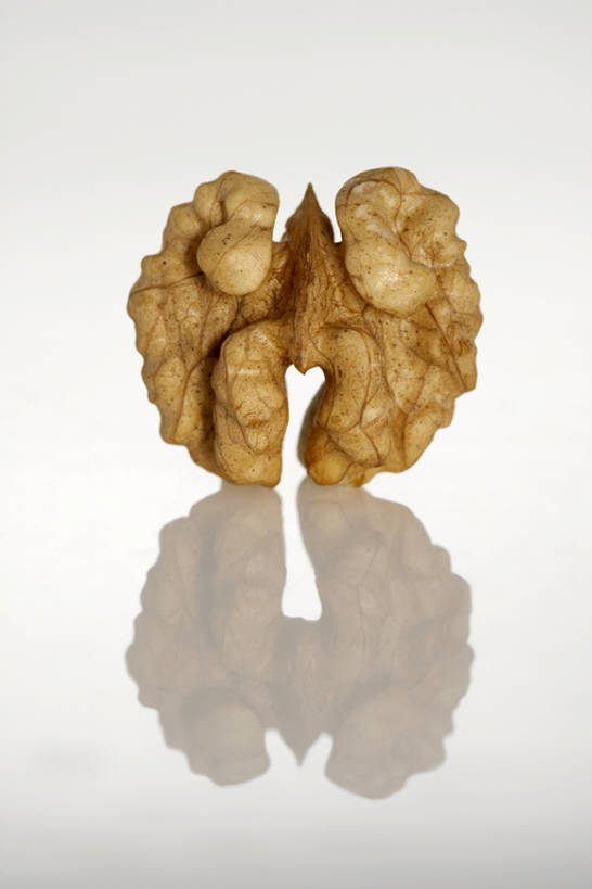 皱纹,无人,竖图,特写,白色背景,农业,静物,水果,形状,曲折,反射,壳,生食,食品,坚果,褐色,小吃,饮食,一个,灰色,自然,干果,摄影,有机食品,单个,简单,清新,蛋白质,健康食物,胡桃,坎坷,崎岖,彩图,影棚拍摄,bj175