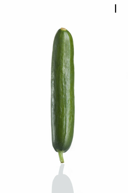 无人,白色背景,农作物,黄瓜,蔬菜,静物,敲打,形状,反射,英文,标志,材料,文字,字符,字母,生食,食品,饮品,输入,标识,饮食,食物,饮料,自然,打字,概念,健康,成熟,摄影,有机食品,英文字母,点击,敲击,创造力,可口,清新,字母表,健康食物,式样,适口,想法,大写字母,按键,彩图,bj175
