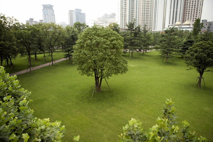 无人,公园,横图,室外,白天,草地,草坪,植物,城市,建筑,上海,中国,亚洲,太空,地形,田野,草,树,绿色,建造,保护,环境,都市风光,东亚,环境保护,高层建筑,bj175
