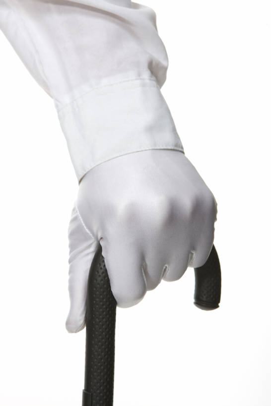 东方人,成年人,手,一个人,服务员,管家,竖图,特写,抠图,白色背景,热情,中国,仅一个人,握,伞,手套,站着,职业,服务,握着,摄影,礼节,部分,东亚,男人,男性,年轻男性,亚洲人,中国人,年轻人,服务生,侍者,彩图,影棚拍摄,bj175