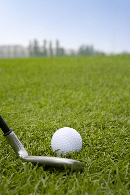 无人,竖图,室外,特写,白天,运动,草地,亚洲,挥杆,高尔夫球,瓷器,草,绿色,自然,休闲,放松,击打,高尔夫球杆,愉悦,剥落,爱好,户外活动,东亚,万里无云,北京市,高尔夫球运动,休闲活动,彩图,bj175