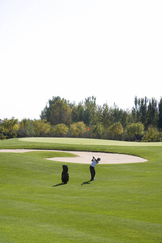 一个人,竖图,室外,白天,留白,锻炼,快乐,幸福,运动,北京,中国,亚洲,仅一个男性,仅一个人,握,摇摆,训练,开球,玩,休闲装,高尔夫球场,草,树,仅一个年轻男性,绿色,休闲,放松,活力,乐趣,握着,摄影,专心,高尔夫球杆,享乐,东亚,高尔夫球包,高尔夫球运动,男人,男性,年轻男性,中国人,年轻人,休闲活动,彩图,欢乐,bj175