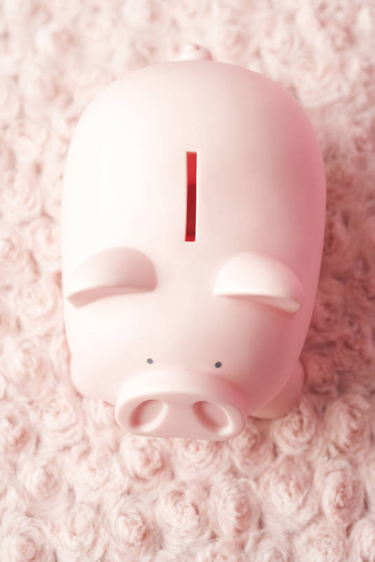 无人,家,竖图,俯视,室内,白天,安全,计划,玩具,公寓,粉色,容器,储蓄罐,器皿,储蓄,存钱,金融,理财,摄影,经济,简单,资金,存钱罐,存款,流通,贸易,贮钱罐,储钱罐,扑满,柔和,开端,筹划,打算,彩图,高角度拍摄,全身,bj175