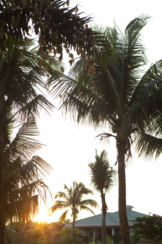 东方人,无人,竖图,度假,酒店,棕榈树,三亚,中国,亚洲,夏天,摄影,热带气候,华贵,东亚,海南岛,亚洲人,彩图,旅行,bj175