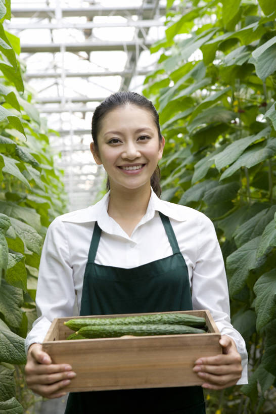 东方人,一个人,菜园,农场,笑,微笑,露齿笑,竖图,白天,正面,快乐,幸福,农业,采摘,黄瓜,蔬菜,北京,中国,亚洲,仅一个年轻女性,仅一个女性,仅一个人,种植,丰富,木制,园艺,食品,温室,拿着,注视,现代,饮食,盒子,夏天,观察,看,健康,摄影,有机食品,生长,生活方式,收获,观看,察看,关注,清新,肖像,爱好,酒箱,东亚,健康食物,年轻女性,女人,女性,亚洲人,中国人,年轻人,休闲活动,半身,彩图,bj175