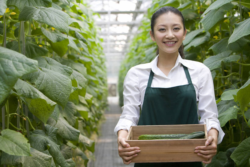 东方人,一个人,菜园,农场,笑,微笑,露齿笑,横图,白天,正面,快乐,幸福,农业,采摘,黄瓜,蔬菜,叶子,北京,中国,亚洲,仅一个年轻女性,仅一个女性,仅一个人,种植,丰富,木制,园艺,食品,温室,拿着,注视,现代,饮食,盒子,绿色,夏天,观察,看,健康,摄影,有机食品,生长,生活方式,收获,观看,察看,关注,清新,肖像,爱好,酒箱,东亚,健康食物,年轻女性,女人,女性,亚洲人,中国人,年轻人,休闲活动,半身,彩图,bj175