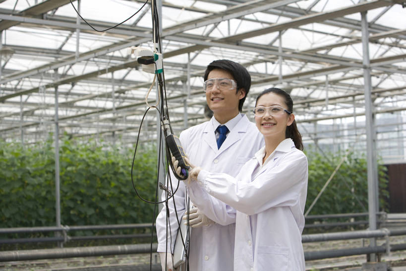 东方人,两个人,科学家,菜园,农场,笑,微笑,露齿笑,横图,白天,侧面,快乐,幸福,农业,技术,北京,中国,亚洲,种植,检查,研究,工作,分析,科学,园艺,温室,拿着,现代,夏天,摄影,生长,技巧,护目镜,金属丝,手艺,防护镜,东亚,实验服,科学实验,技能,技艺,植物学家,男人,男性,年轻男性,年轻女性,女人,女性,亚洲人,中国人,年轻人,技术员,半身,彩图,妙技,本领,bj175