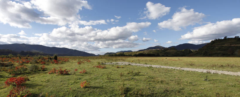 无人,横图,室外,美景,香格里拉,中国,亚洲,景观,草,自然,景色,摄影,自然风光,东亚,云南省,秋天,彩图,bj175