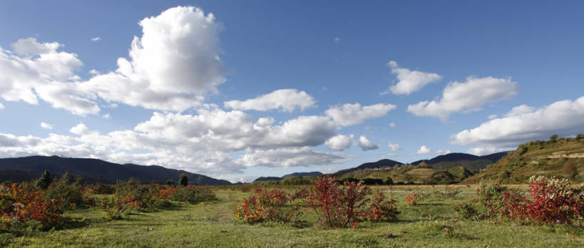 无人,横图,室外,美景,香格里拉,中国,亚洲,景观,草,自然,景色,摄影,自然风光,东亚,云南省,秋天,彩图,bj175