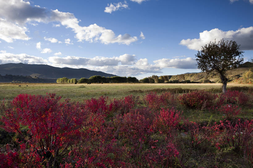 无人,横图,室外,美景,香格里拉,中国,亚洲,景观,自然,景色,摄影,自然风光,东亚,云南省,秋天,彩图,bj175