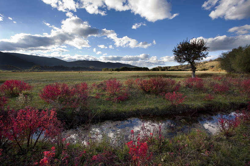 无人,横图,室外,美景,香格里拉,中国,亚洲,景观,自然,景色,摄影,自然风光,东亚,云南省,秋天,彩图,bj175