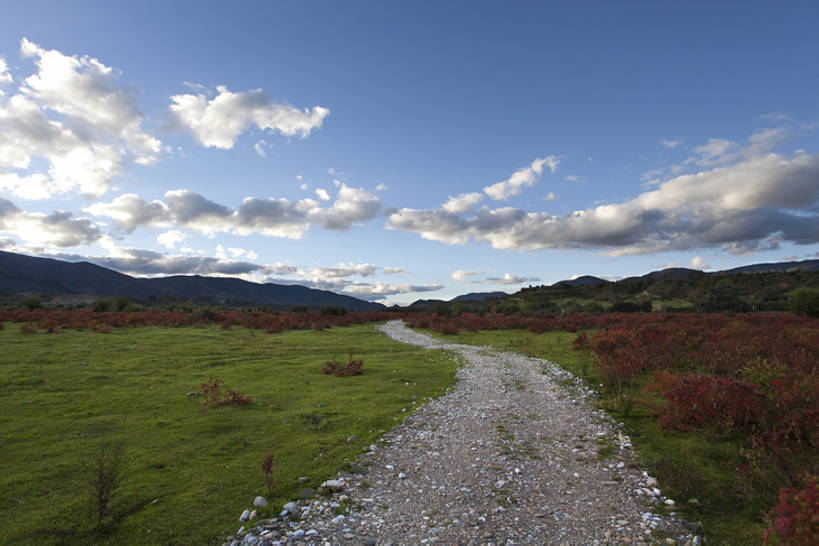 无人,横图,室外,美景,路,香格里拉,中国,亚洲,景观,自然,景色,摄影,自然风光,东亚,云南省,秋天,彩图,bj175