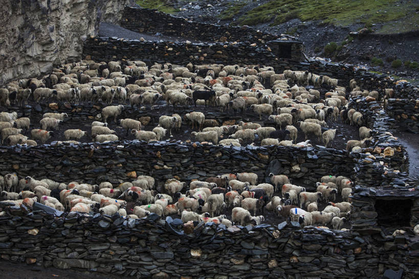 无人,农场,横图,室外,白天,旅游,度假,安全,农业,石头,美景,中国,亚洲,一群,许多,堆叠,景观,篱笆,防护,羊群,很多,娱乐,石墙,西藏,自然,动物,享受,休闲,家畜,景色,放松,摄影,牲畜,堆,保护,宁静,自然风光,保险,羊圈,东亚,西藏自治区,保全,周全,安稳,安定,平安,山羊,绵羊,彩图,bj175