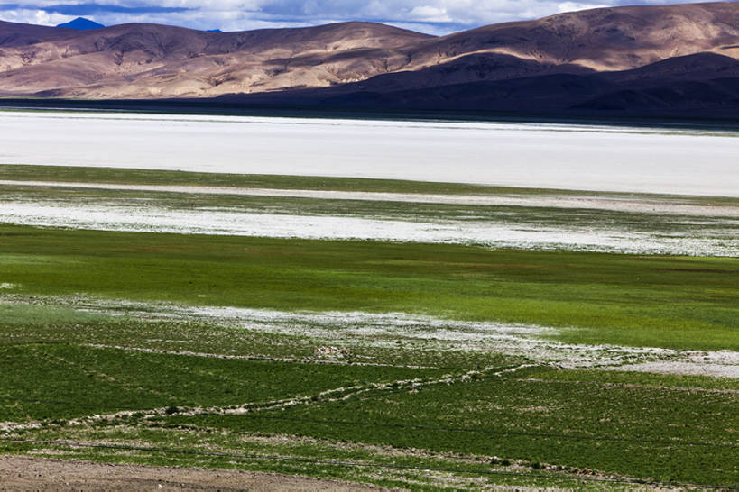无人,横图,室外,白天,留白,旅游,度假,牧场,草地,草坪,美景,山,山脉,中国,亚洲,地形,景观,山顶,云,娱乐,西藏,绿色,风景,自然,享受,休闲,景色,放松,摄影,宁静,山脊,自然风光,东亚,西藏自治区,地貌,罕见,荒僻,偏僻,偏远,自然地理,冷僻,彩图,旅行,bj175
