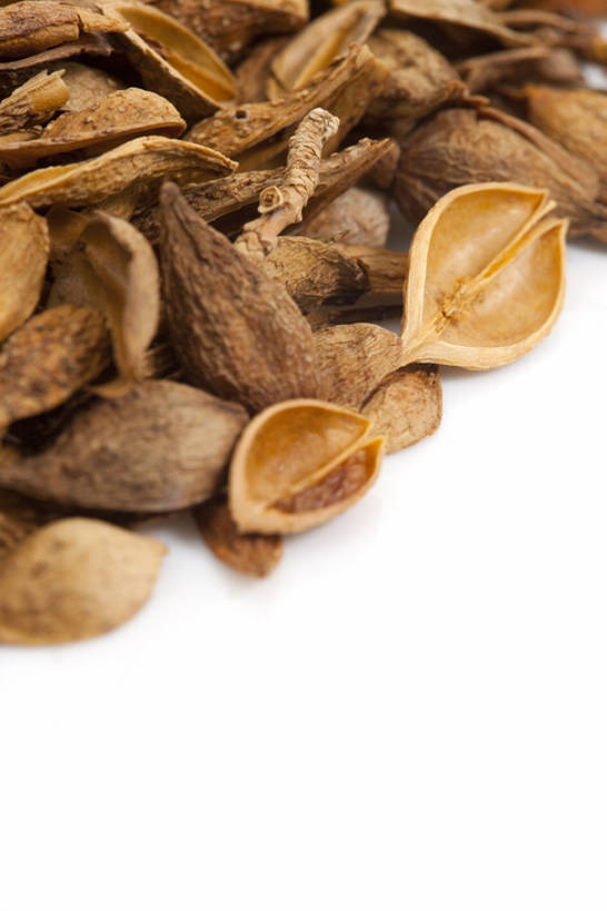 无人,竖图,连翘,静物,北京,中国,亚洲,药,干燥,食品,草药,饮食,饮料,干花,摄影,有机食品,影棚,多样,医疗,中国文化,摄影棚,营养品,中医,东亚,健康食物,青翘,落翘,连壳,黄奇丹,黄花条,彩图,影棚拍摄,拍摄,传统文化,bj175