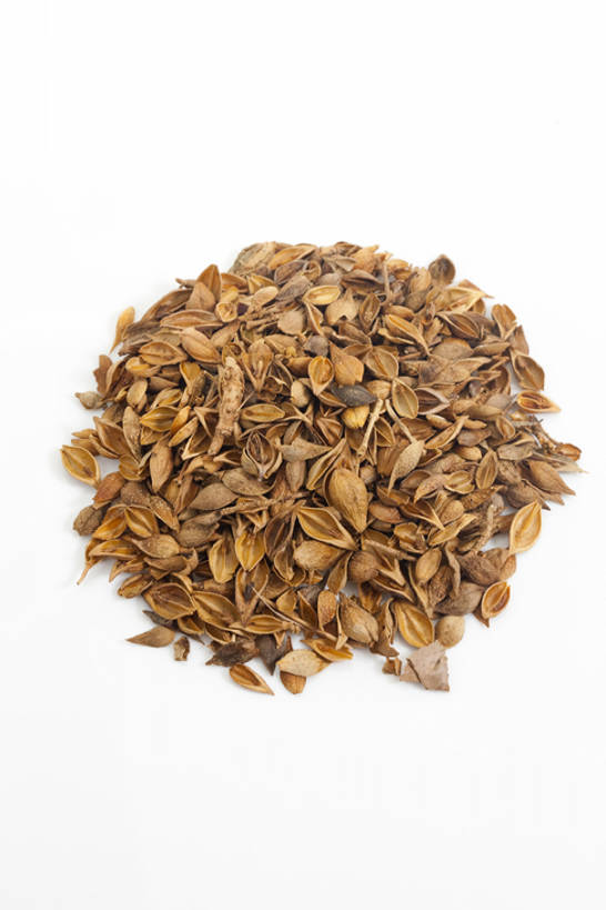 无人,竖图,俯视,连翘,静物,北京,中国,亚洲,药,干燥,食品,草药,饮食,饮料,干花,摄影,有机食品,影棚,多样,医疗,中国文化,摄影棚,营养品,中医,东亚,健康食物,青翘,落翘,连壳,黄奇丹,黄花条,彩图,高角度拍摄,影棚拍摄,拍摄,传统文化,bj175