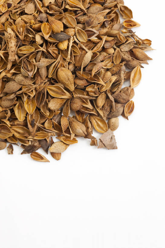 无人,竖图,俯视,特写,连翘,静物,北京,中国,亚洲,药,干燥,食品,草药,饮食,饮料,干花,摄影,有机食品,影棚,多样,医疗,中国文化,摄影棚,营养品,中医,东亚,健康食物,青翘,落翘,连壳,黄奇丹,黄花条,彩图,高角度拍摄,影棚拍摄,拍摄,传统文化,bj175